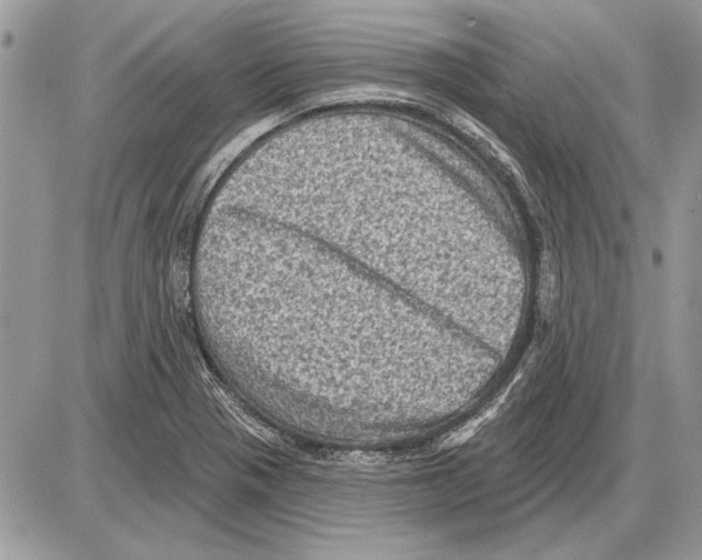 X0000085771321200704131753