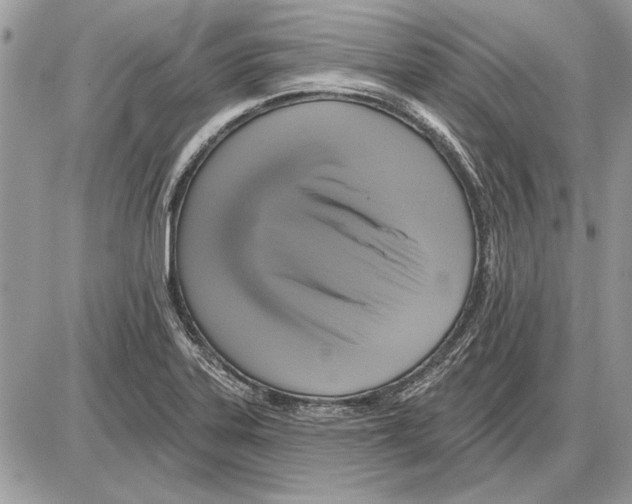 X0000085771323200704131753