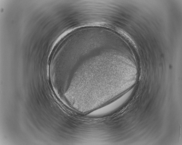 X0000085771324200704131753