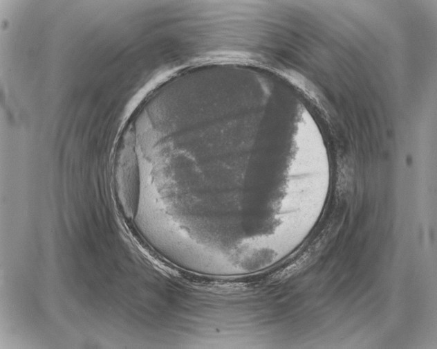 X0000085771325200704131753