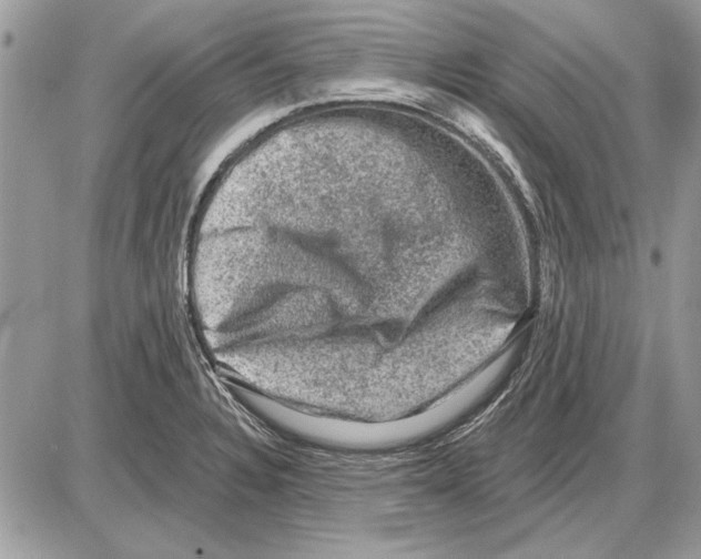 X0000085771328200704131753