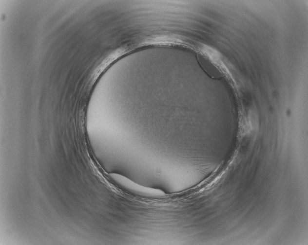 X0000085771329200704131753