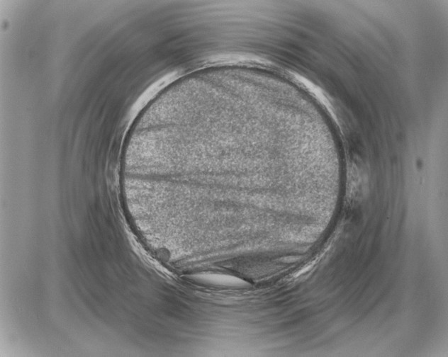 X0000085771330200704131753