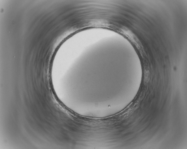 X0000085771331200704131753