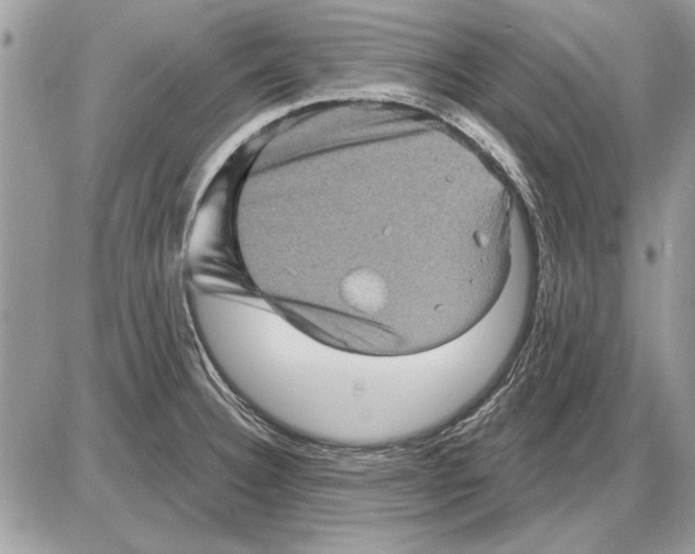 X0000085771332200704131753