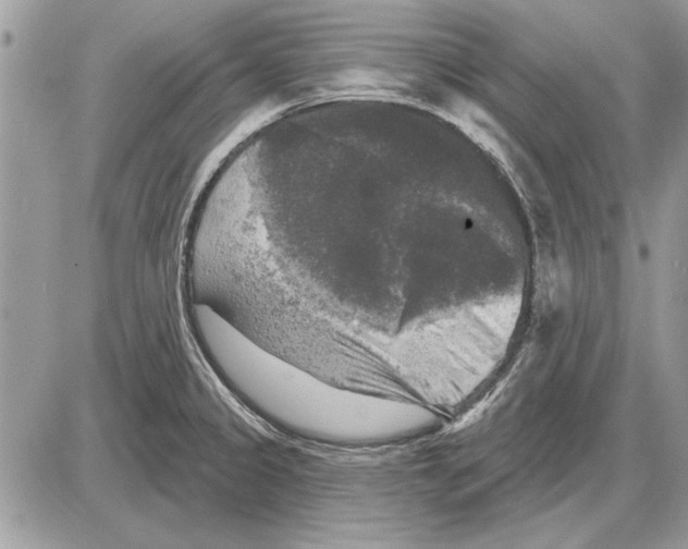 X0000085771333200704131753