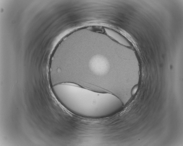 X0000085771334200704131753