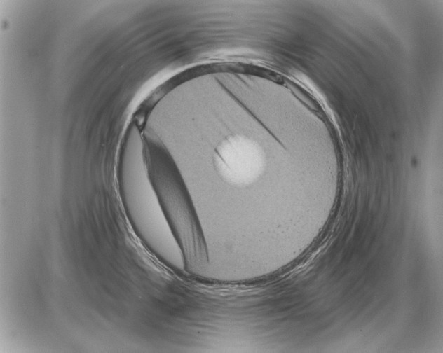 X0000085771336200704131753