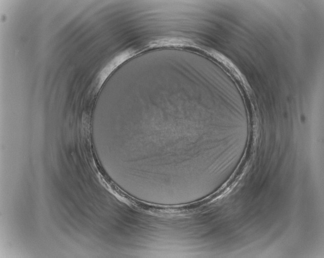 X0000085771337200704131754