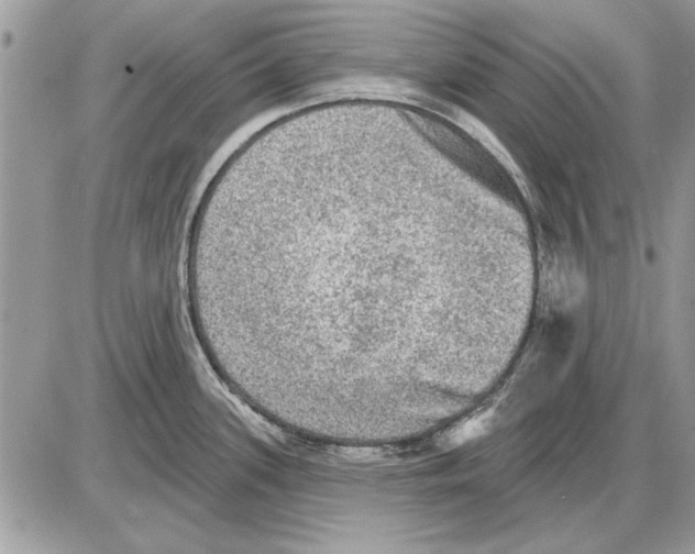 X0000085771339200704131754