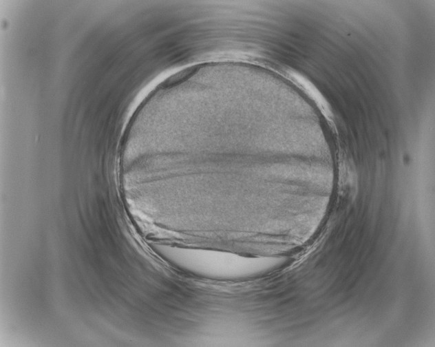 X0000085771340200704131754