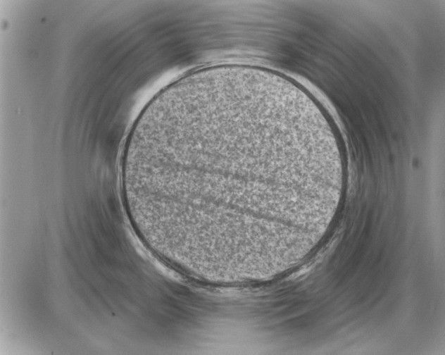 X0000085771341200704131754