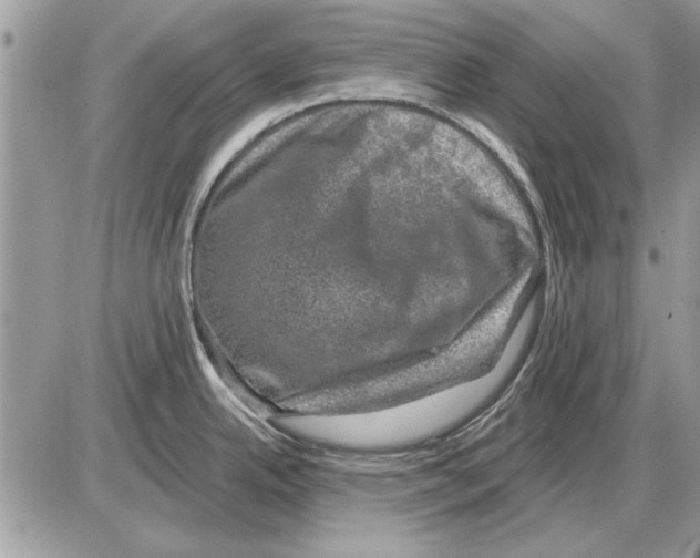 X0000085771342200704131754