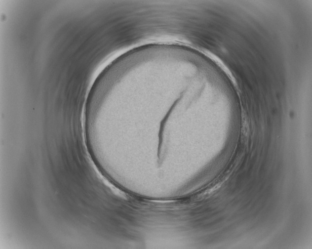 X0000085771343200704131754