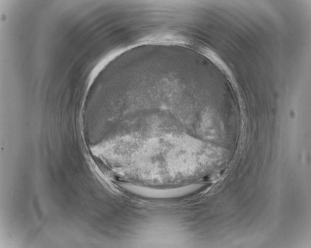 X0000085771344200704131754