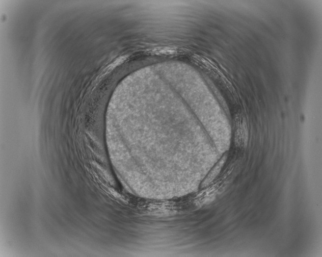 X0000085771345200704131753