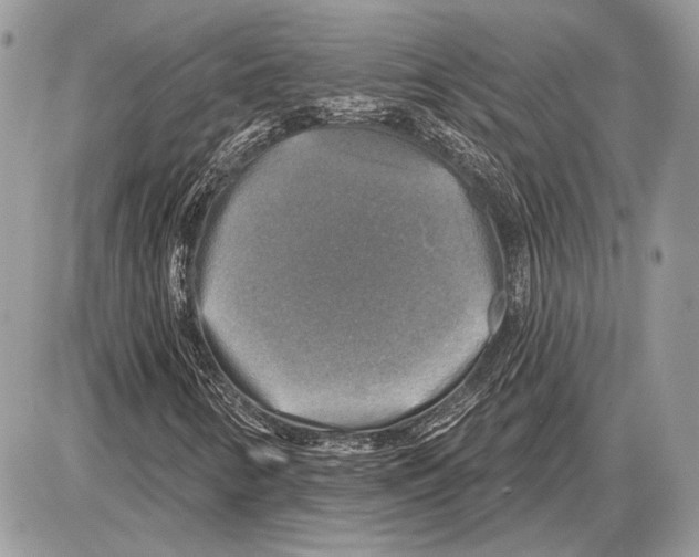 X0000085771346200704131753