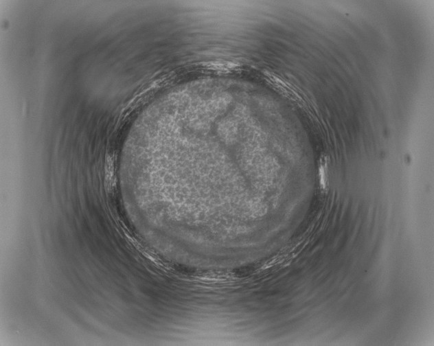 X0000085771347200704131753