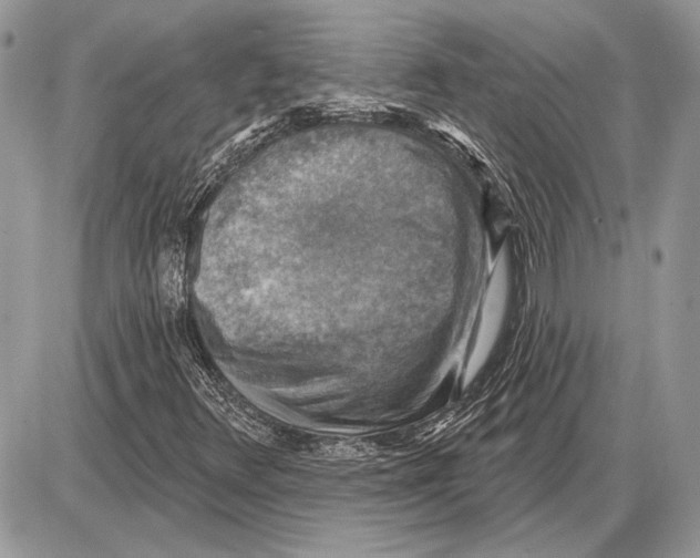 X0000085771348200704131753