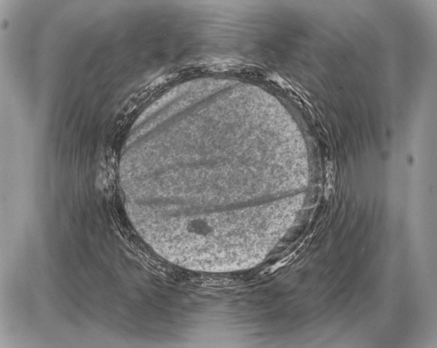 X0000085771349200704131753