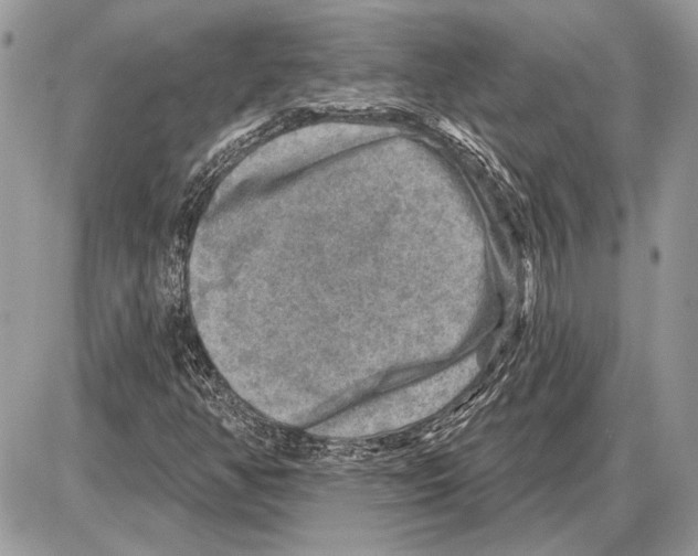 X0000085771350200704131753