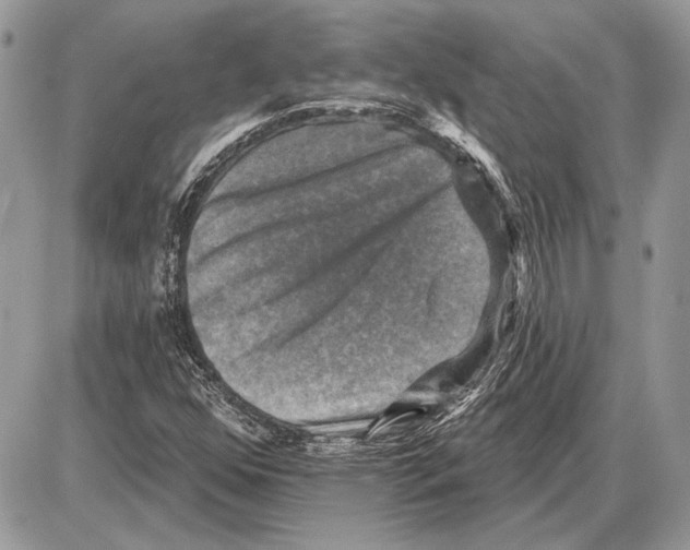 X0000085771352200704131753