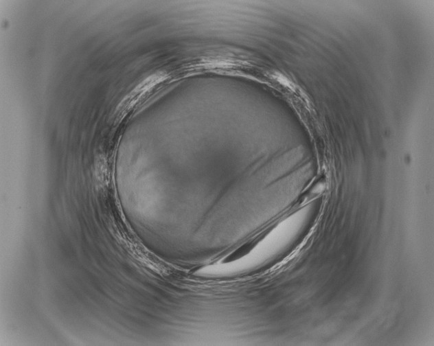 X0000085771353200704131753