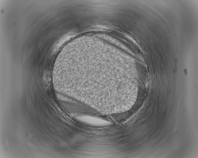 X0000085771355200704131753