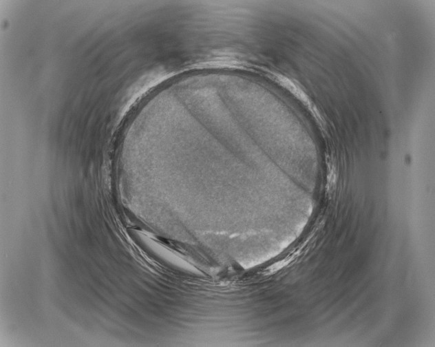 X0000085771356200704131753