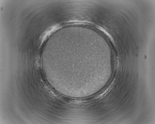 X0000085771357200704131753