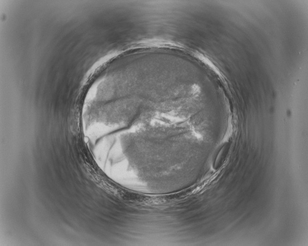 X0000085771358200704131753