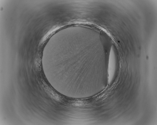 X0000085771359200704131753