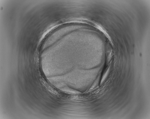 X0000085771360200704131753