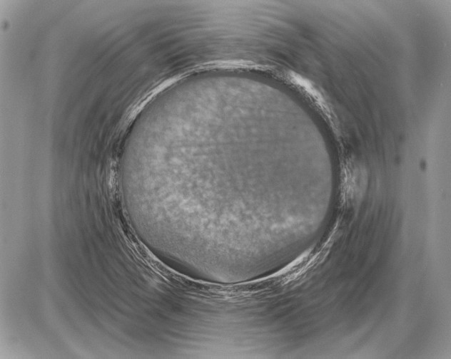 X0000085771361200704131753