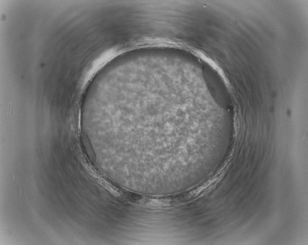 X0000085771365200704131752