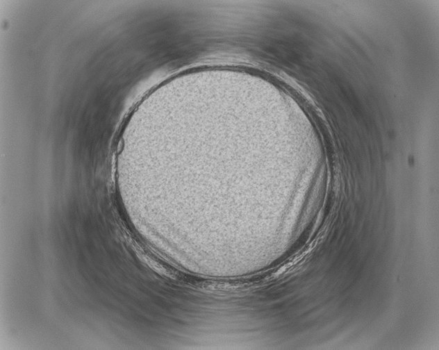 X0000085771366200704131752