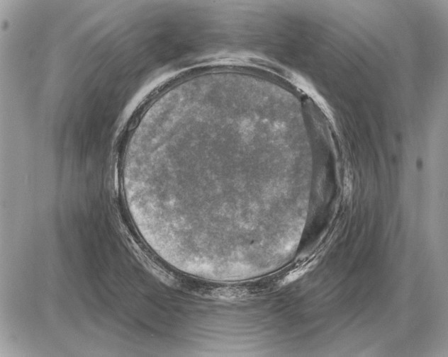 X0000085771368200704131752