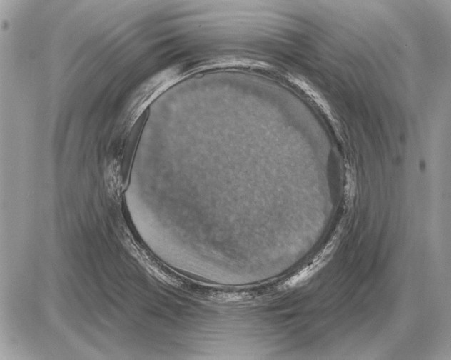 X0000085771369200704131752