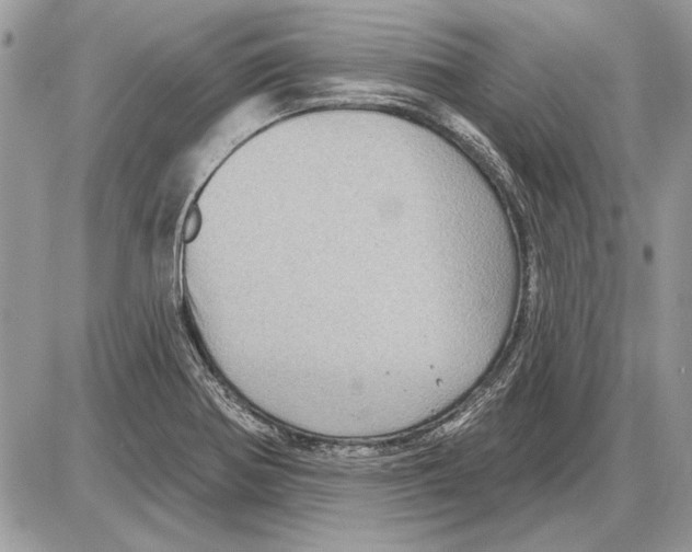 X0000085771370200704131752