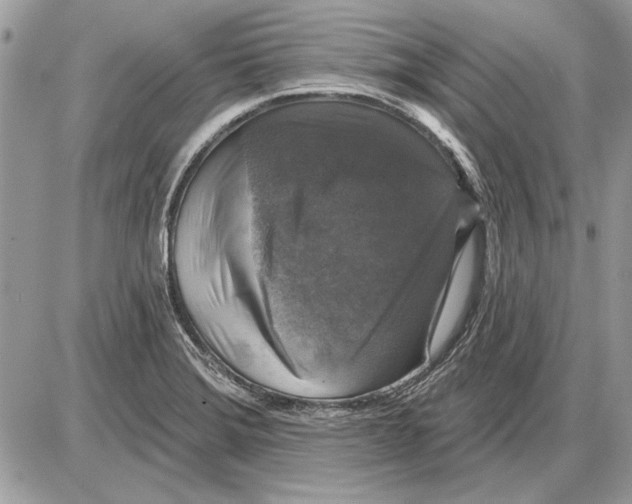 X0000085771372200704131752