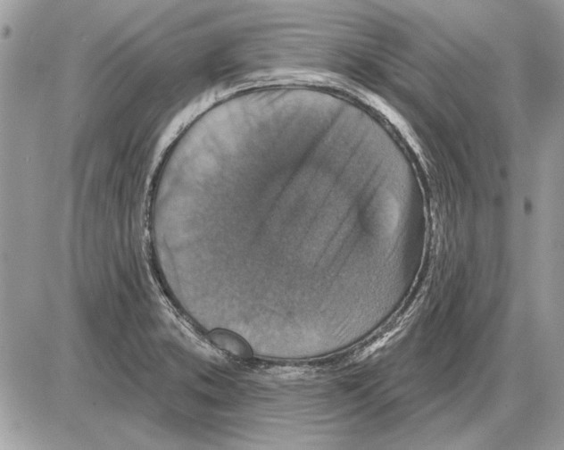 X0000085771373200704131752