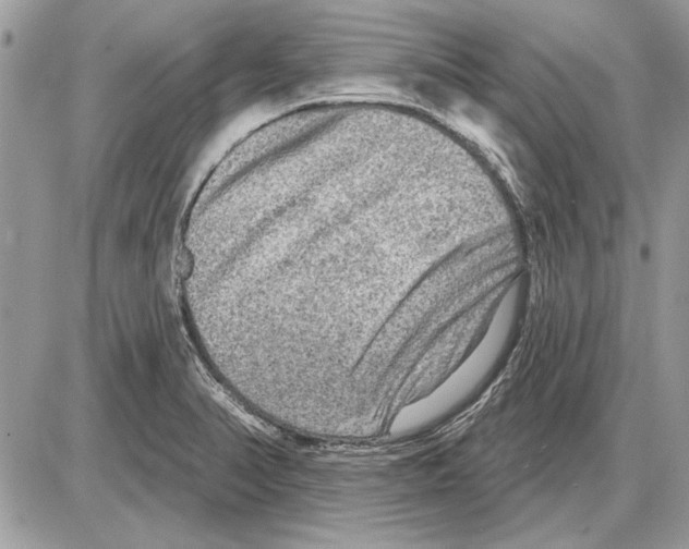 X0000085771374200704131752