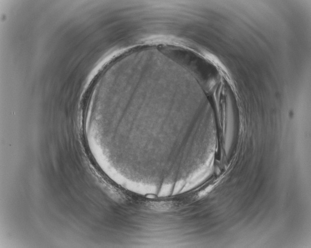 X0000085771376200704131752