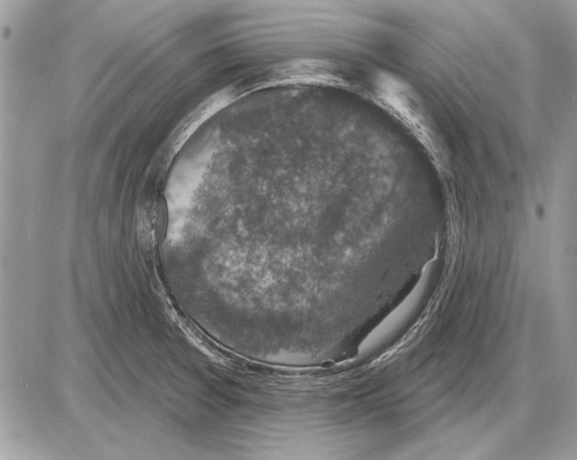 X0000085771377200704131752