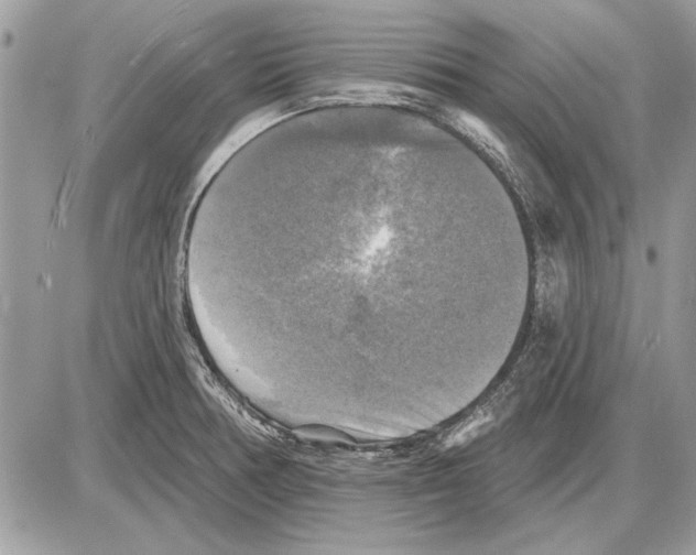 X0000085771378200704131752