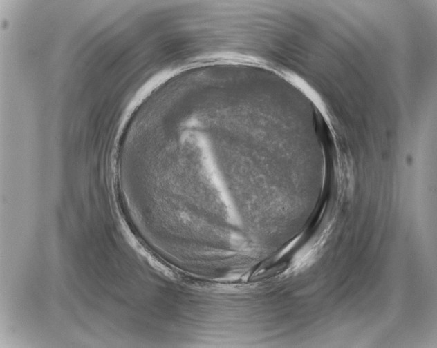 X0000085771381200704131752