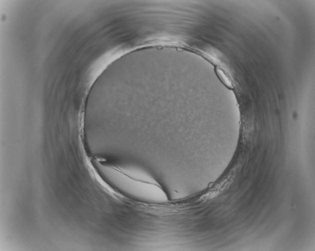 X0000085771383200704131752