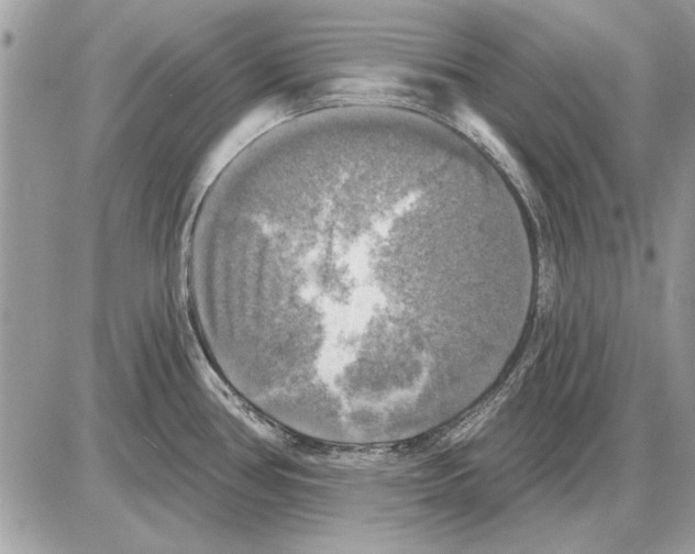 X0000085771386200704131752