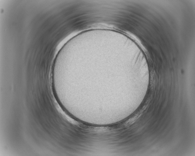 X0000085771387200704131752