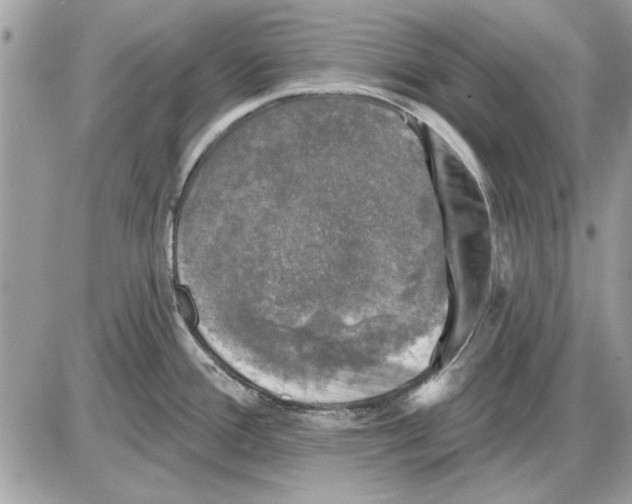 X0000085771388200704131752